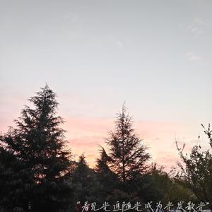 成人伊人青草久久综合网
