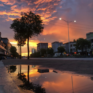 成人伊人青草久久综合网
