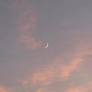 成人伊人青草久久综合网
